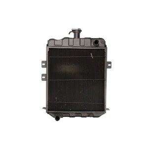 D7AG037TT Радиатор, охлаждение двигателя THERMOTEC - Top1autovaruosad