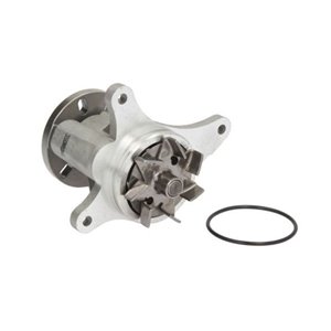 D1P049TT Water Pump, engine cooling THERMOTEC - Top1autovaruosad