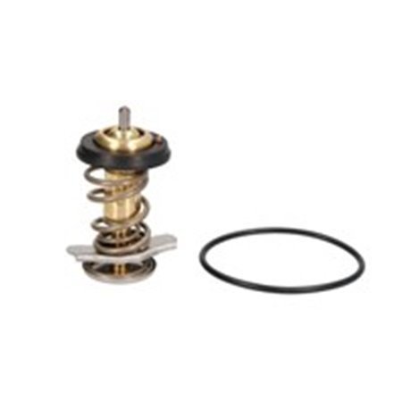 BEHR TX 264 82D - Cooling system thermostat (82°C) fits: IVECO DAILY III, DAILY IV, DAILY V, DAILY VI FIAT DUCATO 2.3D/3.0D/Ele