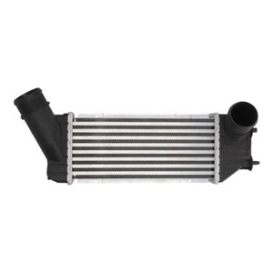 DAC001TT Charge Air Cooler THERMOTEC - Top1autovaruosad