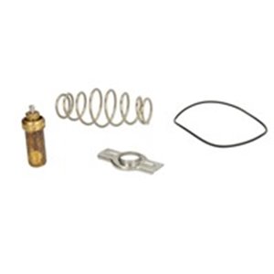 LEMA 451479 - Cooling system thermostat (79°C, with gasket, repair kit) EURO 6