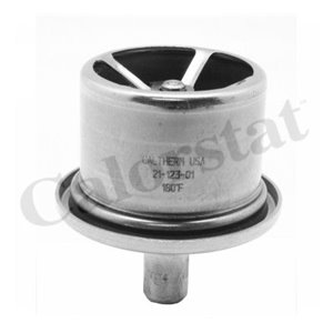 THS19106.82 Cooling system thermostat (82°C, with gasket) fits: DAF 75 CF, 85