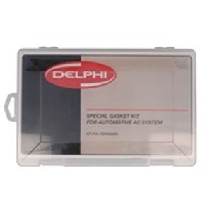 DELPHI TSP0695020 - O-rings set (double) fits: CITROEN; FIAT; PEUGEOT; RENAULT