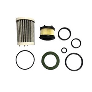 BRC LPG BRCF - Vaporizer repair kit (liquid phase filter and gas phase filter including a set of required o-rings)