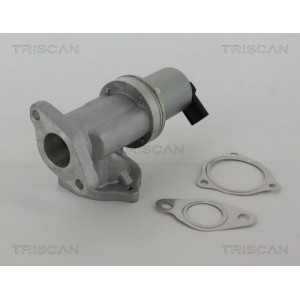 TRISCAN EGR-ventil 8813 43002 - Top1autovaruosad