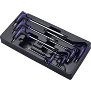 HANS TT-19 - Insert tray with tools for trolley, TORX key wrench(es) / Torx TR key wrench(es), 7pcs, insert tray size: 190x380mm