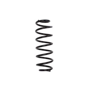 MAGNUM TECHNOLOGY SG205MT - Coil spring rear L/R fits: FORD FIESTA VI 1.25-1.6D 06.08-04.17