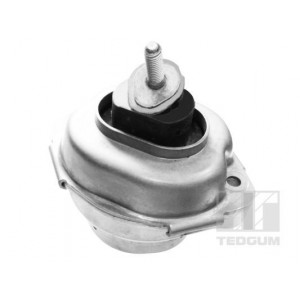 00088466 Mounting, engine TEDGUM - Top1autovaruosad