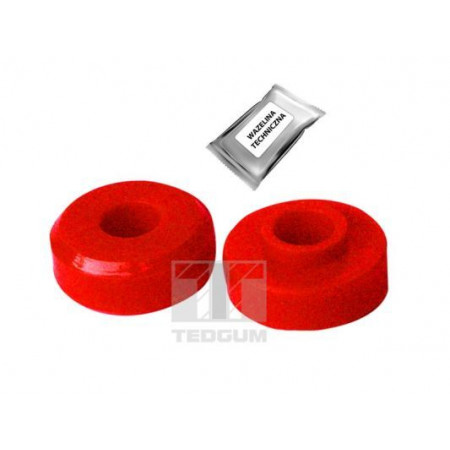 00349514 Vedruamordi tugilaager TEDGUM