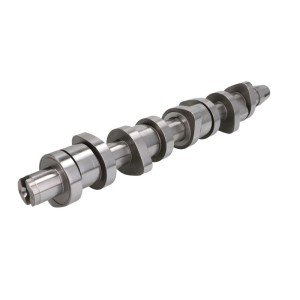 KOLBENSCHMIDT Camshaft 50 006 304